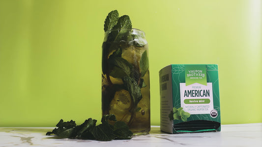yaupon brothers organic yaupon revive mint tea